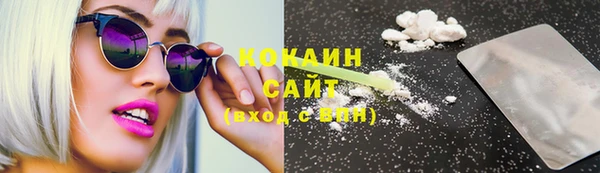 гашик Гусев
