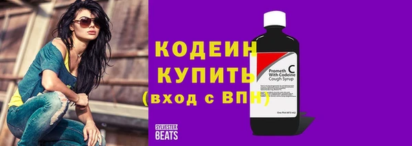 a pvp Гусь-Хрустальный