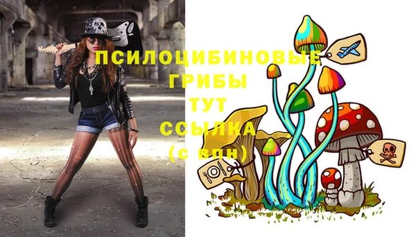 скорость Дмитриев