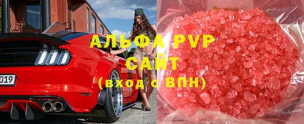 гашик Гусев