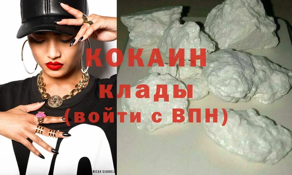 соль ск Дмитров
