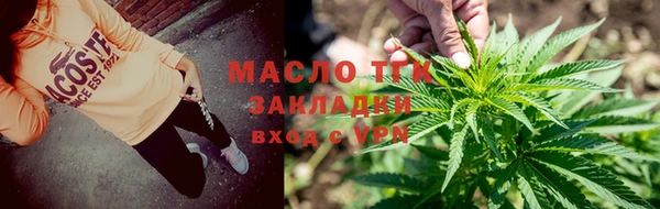 соль ск Дмитров