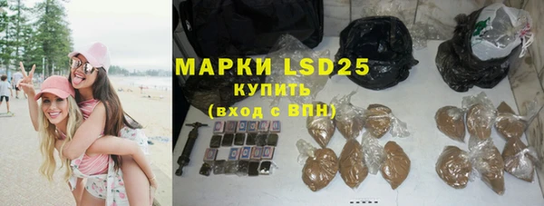 гашик Гусев